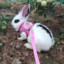 Load image into Gallery viewer, Fashion Rabbit Chinchilla Vest Harness With Leash Guinea Pig Harness Leash Outdoor Traction Rope for Chinchilla Ferret Small Pet Supplies
