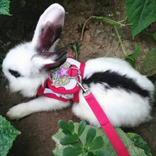 Load image into Gallery viewer, Fashion Rabbit Chinchilla Vest Harness With Leash Guinea Pig Harness Leash Outdoor Traction Rope for Chinchilla Ferret Small Pet Supplies
