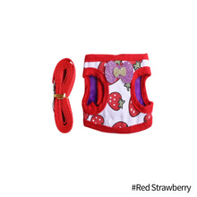 Load image into Gallery viewer, Fashion Rabbit Chinchilla Vest Harness With Leash Guinea Pig Harness Leash Outdoor Traction Rope for Chinchilla Ferret Small Pet Supplies
