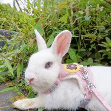 Load image into Gallery viewer, Pet Rabbit Mesh Vest Harness With Traction Rope Bunny Guinea Pig Vest Lead Small Animal Supplies
