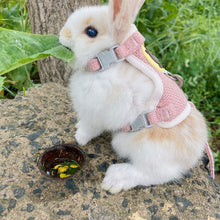 Load image into Gallery viewer, Pet Rabbit Mesh Vest Harness With Traction Rope Bunny Guinea Pig Vest Lead Small Animal Supplies
