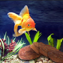 Load image into Gallery viewer, 50pcs Aquarium Decoration Natural Terminalia Catappa Leaves Fish Tank Cleaning Tools Water Treatment Almond Leaf Accessories Balance PH Acidity
