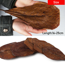Load image into Gallery viewer, 50pcs Aquarium Decoration Natural Terminalia Catappa Leaves Fish Tank Cleaning Tools Water Treatment Almond Leaf Accessories Balance PH Acidity

