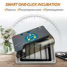 Load image into Gallery viewer, Full Automatic Egg Incubator 12 Eggs Hatchery Egg Hatchers Incubator Brooder Chicken Automatic Eggs Incubator Bird Quail Brooder
