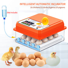 Load image into Gallery viewer, Full Automatic Egg Incubator 16 Eggs Hatchery Egg Hatchers Incubator Brooder Chicken Automatic Eggs Incubator Bird Quail Brooder
