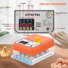 Load image into Gallery viewer, Full Automatic Egg Incubator 16 Eggs Hatchery Egg Hatchers Incubator Brooder Chicken Automatic Eggs Incubator Bird Quail Brooder
