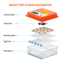 Load image into Gallery viewer, Full Automatic Egg Incubator 16 Eggs Hatchery Egg Hatchers Incubator Brooder Chicken Automatic Eggs Incubator Bird Quail Brooder

