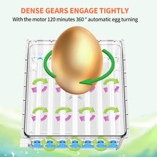 Load image into Gallery viewer, Full Automatic Egg Incubator 16 Eggs Hatchery Egg Hatchers Incubator Brooder Chicken Automatic Eggs Incubator Bird Quail Brooder
