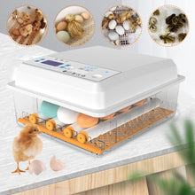 Load image into Gallery viewer, Dual Power 12V/220V Full Automatic Egg Incubator 12 Eggs Hatchery Egg Hatchers Incubator Brooder Chicken Automatic Eggs Incubator Bird Quail Brooder

