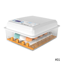 Load image into Gallery viewer, Dual Power 12V/220V Full Automatic Egg Incubator 12 Eggs Hatchery Egg Hatchers Incubator Brooder Chicken Automatic Eggs Incubator Bird Quail Brooder
