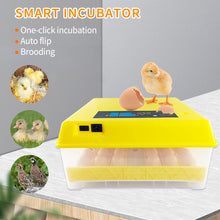Load image into Gallery viewer, 48 Eggs Incubator Automatic Hatchery Poultry Household Equipment Incubator for Chicken Eggs Incubator Brooder
