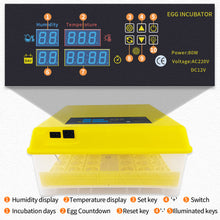 Load image into Gallery viewer, 48 Eggs Incubator Automatic Hatchery Poultry Household Equipment Incubator for Chicken Eggs Incubator Brooder
