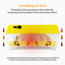 Load image into Gallery viewer, 48 Eggs Incubator Automatic Hatchery Poultry Household Equipment Incubator for Chicken Eggs Incubator Brooder
