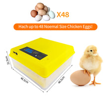 Load image into Gallery viewer, 48 Eggs Incubator Automatic Hatchery Poultry Household Equipment Incubator for Chicken Eggs Incubator Brooder
