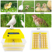 Load image into Gallery viewer, 96 Eggs Incubator Automatic Hatchery Poultry Household Equipment Incubator for Chicken Eggs Incubator Brooder
