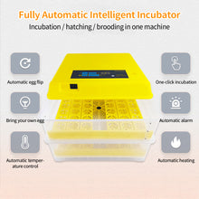 Load image into Gallery viewer, 96 Eggs Incubator Automatic Hatchery Poultry Household Equipment Incubator for Chicken Eggs Incubator Brooder
