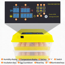 Load image into Gallery viewer, 96 Eggs Incubator Automatic Hatchery Poultry Household Equipment Incubator for Chicken Eggs Incubator Brooder
