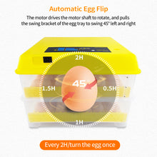 Load image into Gallery viewer, 96 Eggs Incubator Automatic Hatchery Poultry Household Equipment Incubator for Chicken Eggs Incubator Brooder

