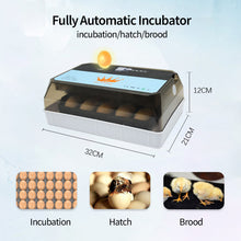 Load image into Gallery viewer, Full Automatic Egg Incubator 15 Eggs Hatchery Egg Hatchers Incubator Brooder Chicken Automatic Eggs Incubator Bird Quail Brooder
