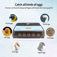 Load image into Gallery viewer, Full Automatic Egg Incubator 15 Eggs Hatchery Egg Hatchers Incubator Brooder Chicken Automatic Eggs Incubator Bird Quail Brooder
