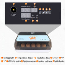 Load image into Gallery viewer, Full Automatic Egg Incubator 15 Eggs Hatchery Egg Hatchers Incubator Brooder Chicken Automatic Eggs Incubator Bird Quail Brooder
