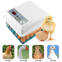 Load image into Gallery viewer, 20 Eggs Household Incubator Dual Power Automatic Temperature Control Incubator Tools Small Plastic Bionic Water Bed Farm Bird Egg Incubator
