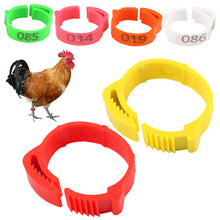 Load image into Gallery viewer, 100PCS Chicken Foot Ring Marker Adjustable Size 1-100 Number Poultry Leg Label Buckle Ring for Farm Chick Duck Goose Suplies

