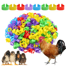 Load image into Gallery viewer, 100PCS Chicken Foot Ring Marker Reusable Poultry Leg Label Buckle Ring 16mm/20mm for Farm Chick Duck Goose Suplies
