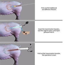 Load image into Gallery viewer, Artificial Insemination Kit Sperm Injection Pressurizer for Pig Sheep Pet Canine Semen Deposition Veterinary Farming
