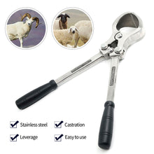Load image into Gallery viewer, Stainless Steel Ram Bloodless Castration Plier Castrating Sheep Goat Lamb Tool No Blood Thongs Clamp Farm Animal Supplies
