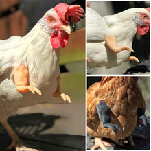 Load image into Gallery viewer, Funny Chicken Arms Toy Artificial Dinosaur Arms for Hens Pet Themed Party Props Chicken Supplies Pet Chicken Accessories
