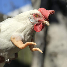 Load image into Gallery viewer, Funny Chicken Arms Toy Artificial Dinosaur Arms for Hens Pet Themed Party Props Chicken Supplies Pet Chicken Accessories
