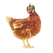 Load image into Gallery viewer, Funny Chicken Helmet Small Pet Hard Hat Bird Quail Pigeon Protective Hat Headgear Pet Bird Helmet Pet Supplies
