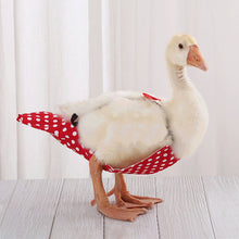 Load image into Gallery viewer, Pet Duck Diaper Goose Chicken Poultry Diaper Clothes Reusable Washable Costume Diaper with Bow Knot Duck Supplies
