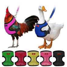 Load image into Gallery viewer, Chicken Mesh Harness Vest With Leash Pets Adjustable Rope Matching Belt Hen Vest Farm Animals Hens Chicken Coop Accessories
