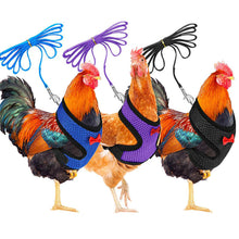 Load image into Gallery viewer, Chicken Mesh Harness Vest With Leash Pets Adjustable Rope Matching Belt Hen Vest Farm Animals Hens Chicken Coop Accessories
