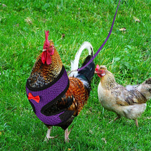 Load image into Gallery viewer, Chicken Mesh Harness Vest With Leash Pets Adjustable Rope Matching Belt Hen Vest Farm Animals Hens Chicken Coop Accessories
