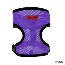 Load image into Gallery viewer, Chicken Mesh Harness Vest With Leash Pets Adjustable Rope Matching Belt Hen Vest Farm Animals Hens Chicken Coop Accessories
