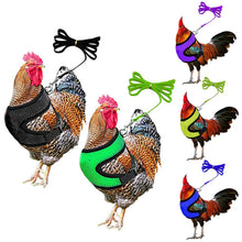Load image into Gallery viewer, Chicken Mesh Harness Vest With Leash Pets Adjustable Rope Matching Belt Hen Vest Farm Animals Hens Chicken Coop Accessories
