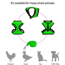 Load image into Gallery viewer, Chicken Mesh Harness Vest With Leash Pets Adjustable Rope Matching Belt Hen Vest Farm Animals Hens Chicken Coop Accessories
