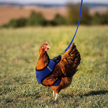 Load image into Gallery viewer, Chicken Mesh Harness Vest With Leash Pets Adjustable Rope Matching Belt Hen Vest Farm Animals Hens Chicken Coop Accessories
