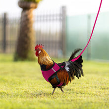 Load image into Gallery viewer, Chicken Mesh Harness Vest With Leash Pets Adjustable Rope Matching Belt Hen Vest Farm Animals Hens Chicken Coop Accessories
