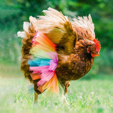 Load image into Gallery viewer, Chicken Costume Skirt Tutu Coop Hen Decoration Poultry Feather Protector Halloween Cosplay Dress Party Props
