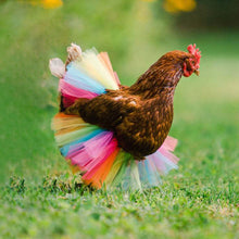 Load image into Gallery viewer, Chicken Costume Skirt Tutu Coop Hen Decoration Poultry Feather Protector Halloween Cosplay Dress Party Props
