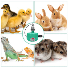 Load image into Gallery viewer, Farm Smart Heating Lamp Warm Light Chicken Poultry Breeding Thermostatic Temperature Controller Heater Heating Lamp E27 220V 300W
