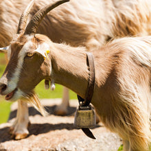 Load image into Gallery viewer, Farm Cow Grazing Bell Sheep Horse Goat Anti Lost Metal Bell Anti Theft Louder Bell Liftstock Equipment Farm Animal Supplies
