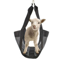 Load image into Gallery viewer, Farm Calf Lamb Weight Scale Sling Adjustable Animal Weighing Hanging Sling Support Strap Farm Animal Supplies
