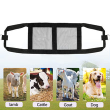 Load image into Gallery viewer, Farm Calf Lamb Weight Scale Sling Adjustable Animal Weighing Hanging Sling Support Strap Farm Animal Supplies
