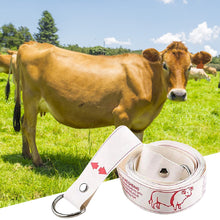 Load image into Gallery viewer, Cattle Bust Weight Contrast Tape Cow Calf Weight Tape Zebu Measuring Soft Ruler Farm Animal Supplies
