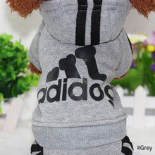Load image into Gallery viewer, Dog Clothes Hoodies Sweatshirt Clothes for Small Dogs Jacket for Dogs Spring Autumn Winter Clothing for Dogs Chihuahua Pet Coat Costumes
